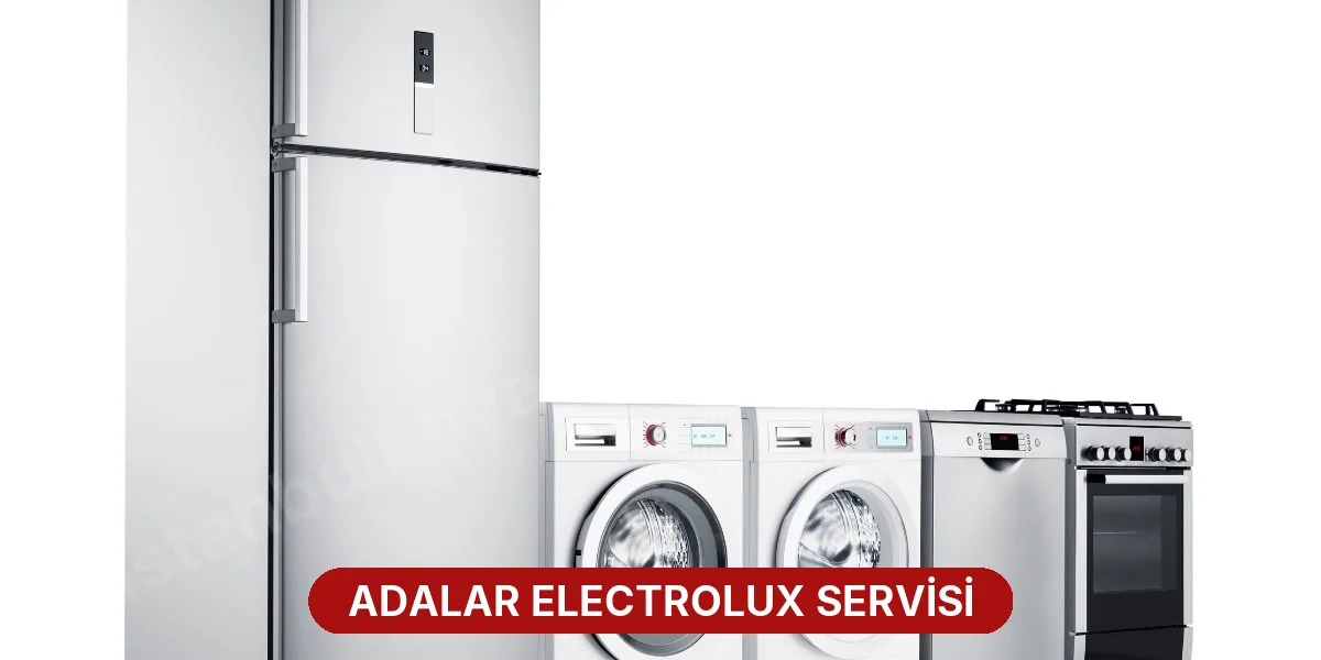 Adalar Electrolux Servisi