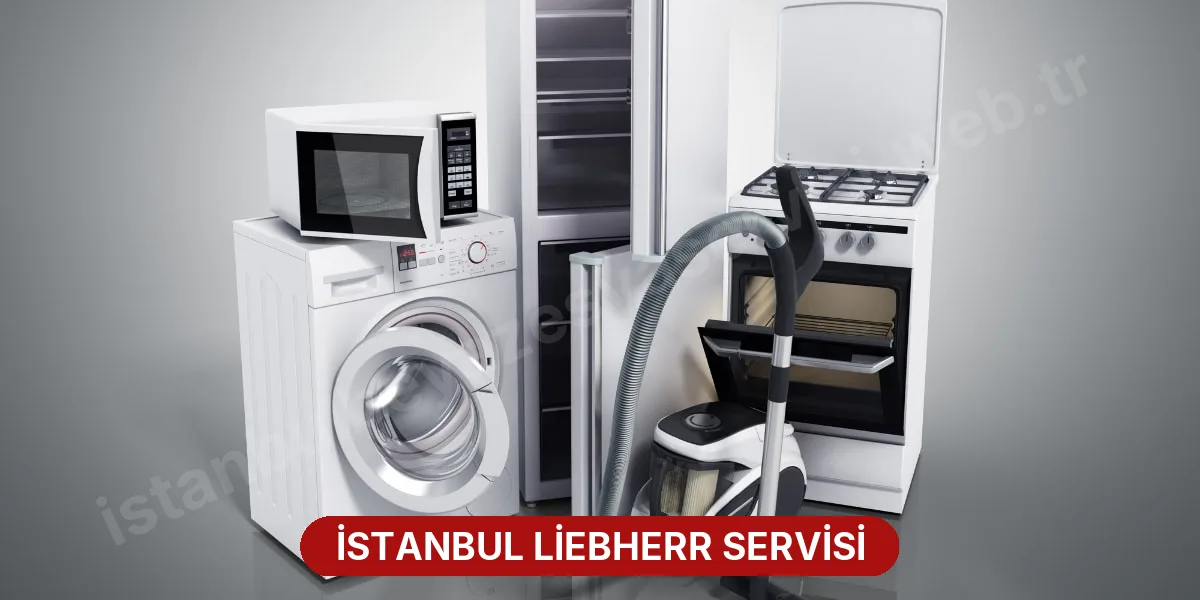 İstanbul Liebherr Servisi